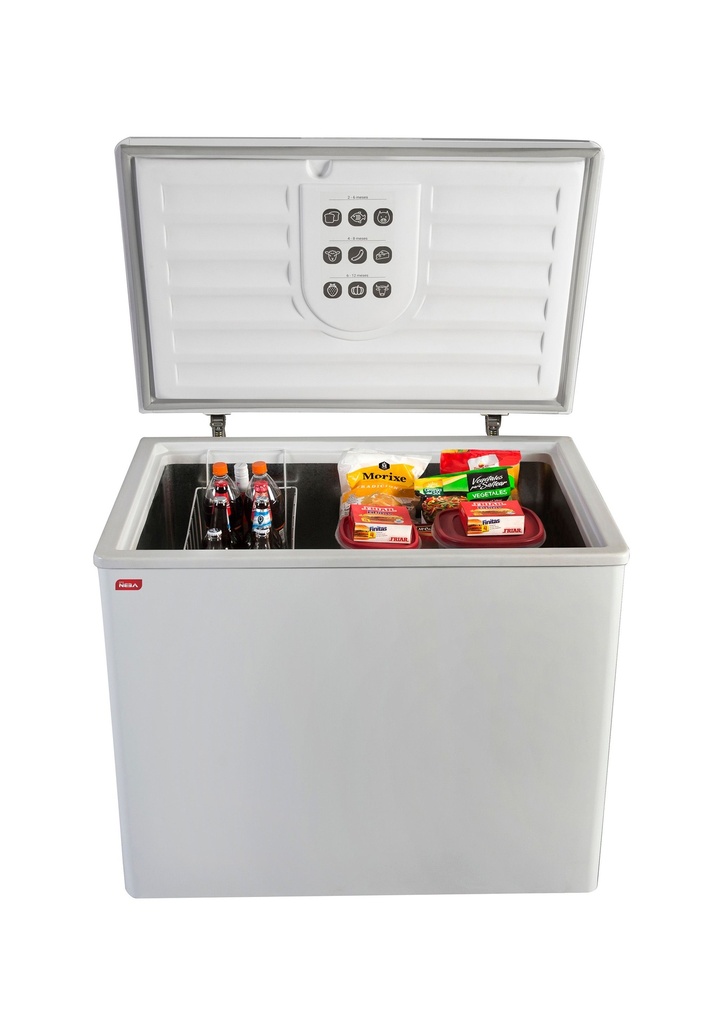 FREEZER NEBA F-310 DE POZO 305L