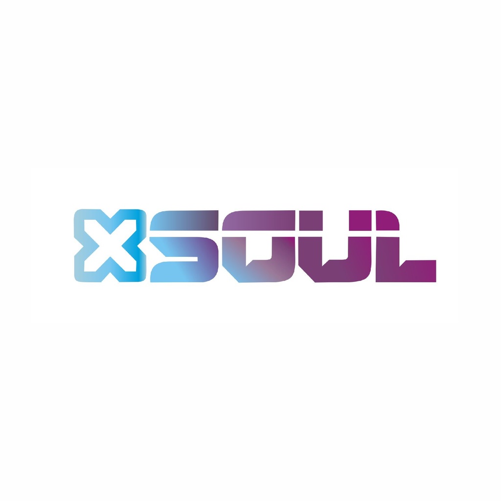 WEBCAM SOUL XW 100 HD