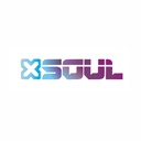 WEBCAM SOUL XW 100 HD
