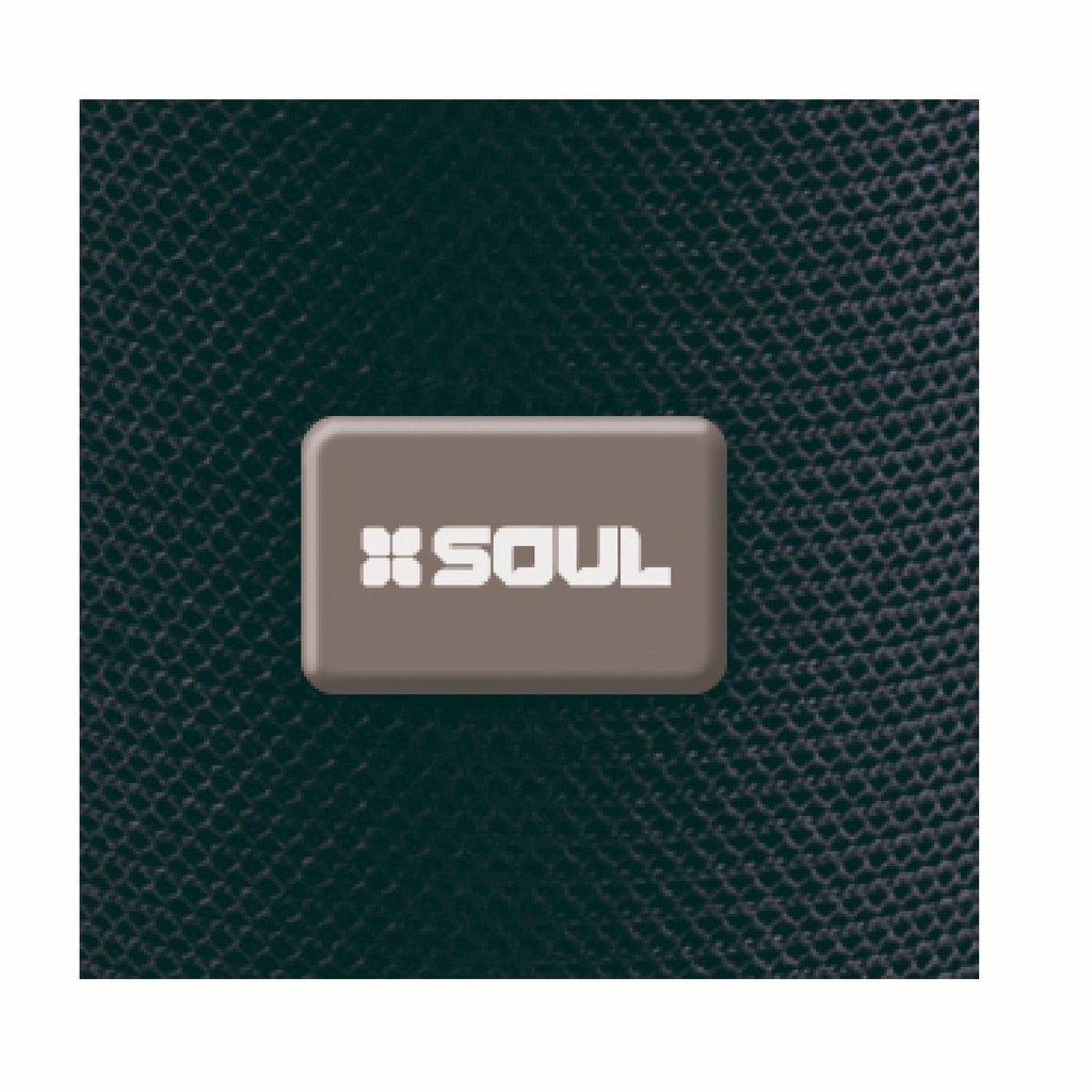 PARLANTE SOUL XS 100 NEGRO