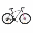 BICICLETA LAMBORGHINI 217136M35L 29" GRIS/ROSA