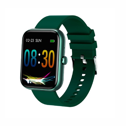 [164-73473] RELOJ SOUL SMW-EVO400VE VERDE